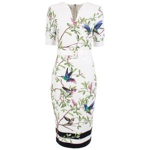 EUC Ted Baker Dress